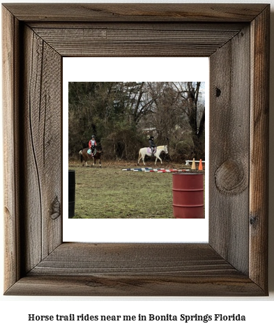 horse trail rides near me in Bonita Springs, Florida